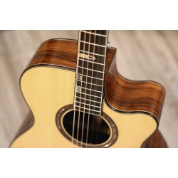 Fonzo V-201S OM Cutaway